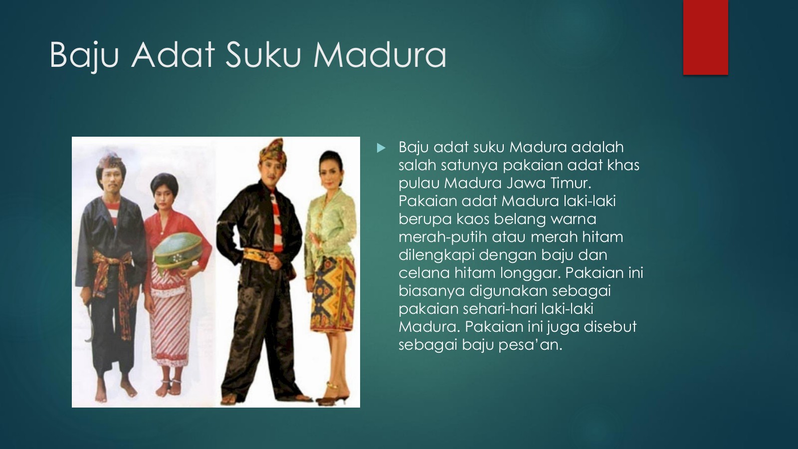 Detail Gambar Suku Madura Nomer 13