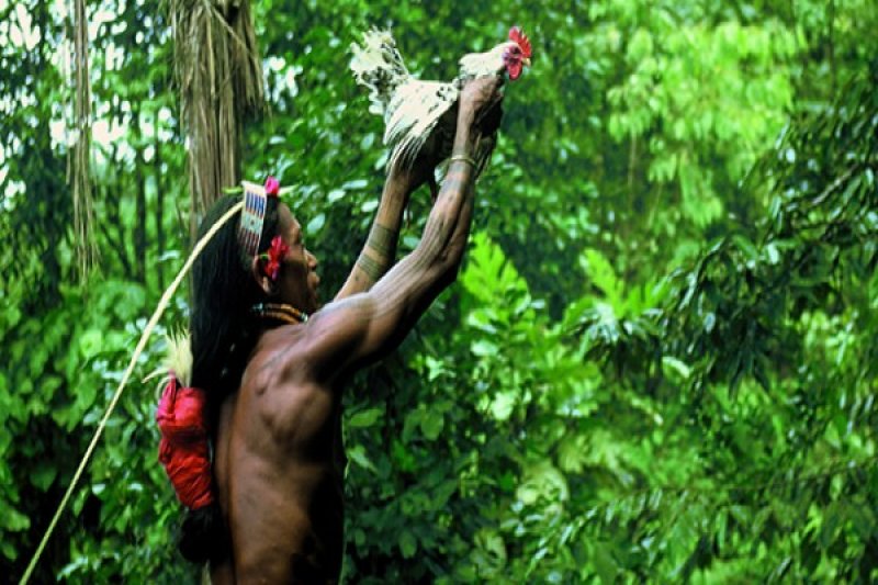 Detail Gambar Suku Mentawai Nomer 28