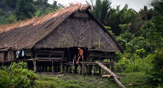 Detail Gambar Suku Mentawai Nomer 47