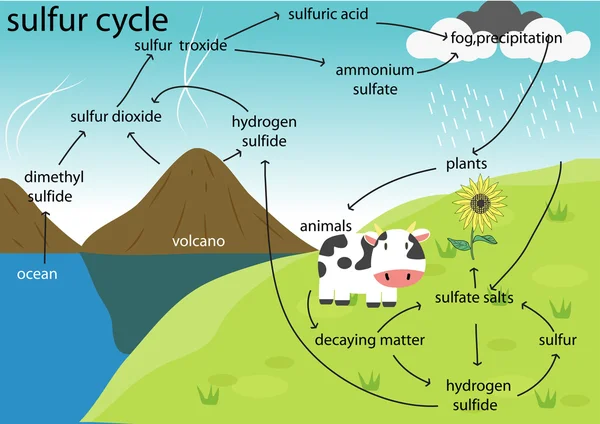 Detail Gambar Sulfur Trioksida Nomer 34