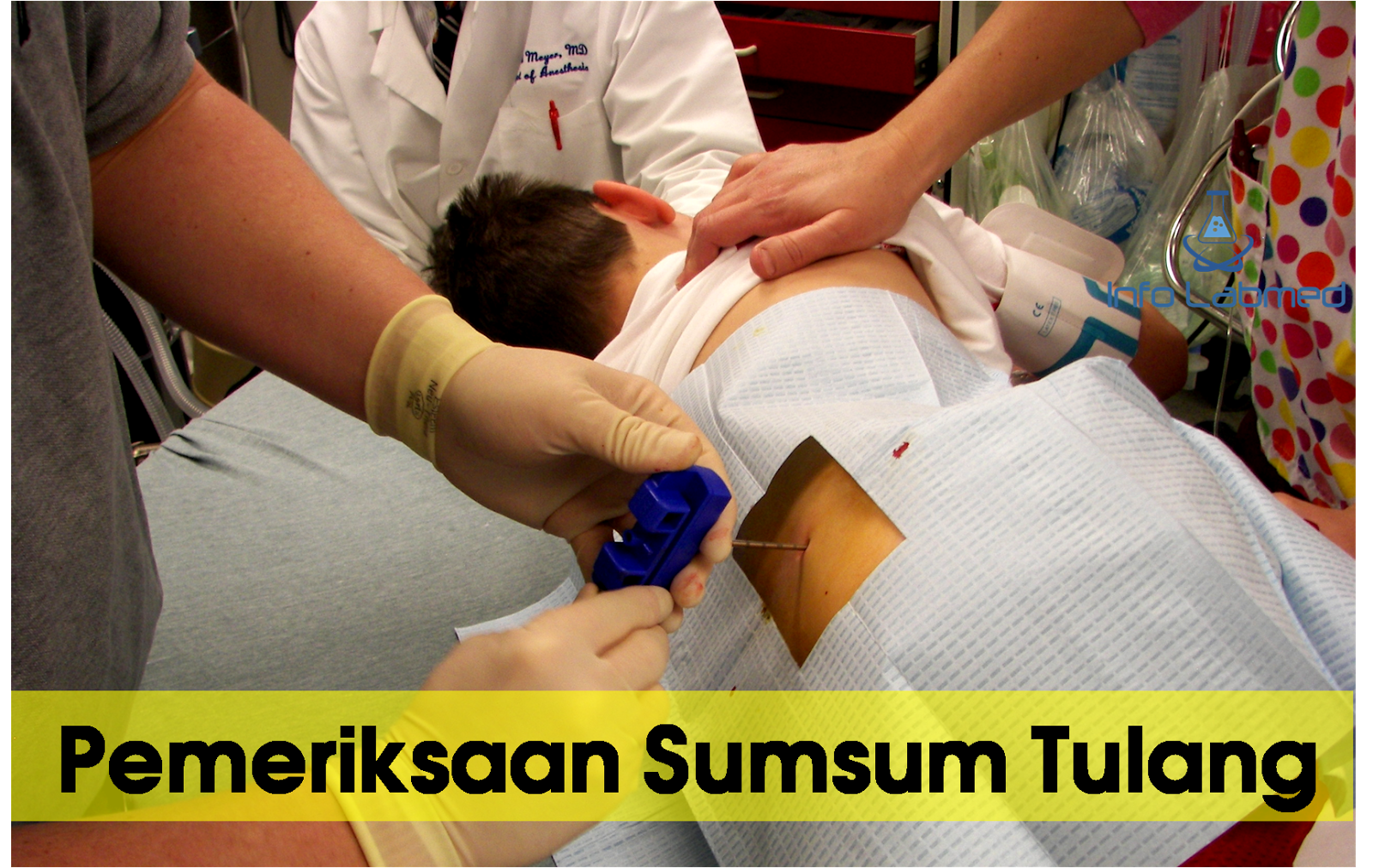 Detail Gambar Sum Sum Tulang Belakang Nomer 28