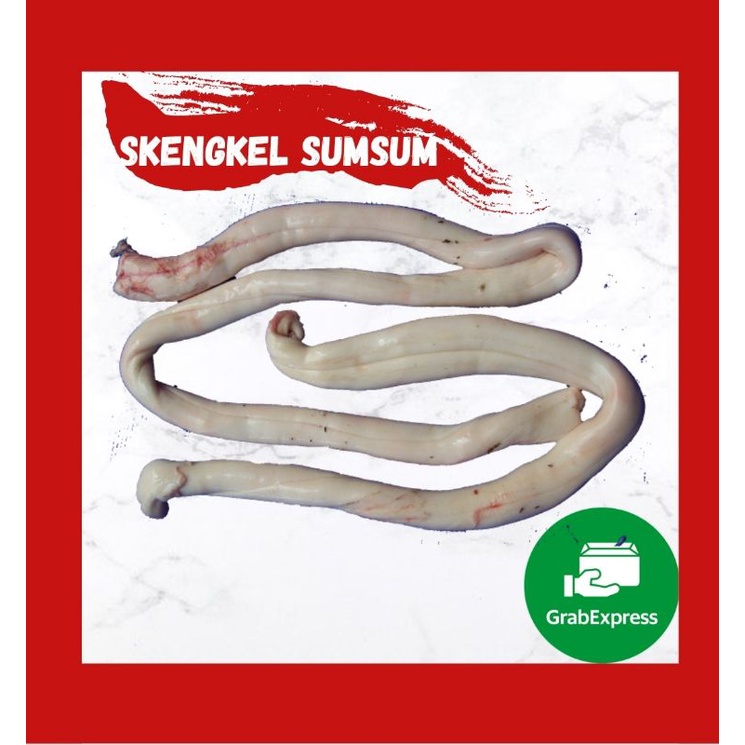 Detail Gambar Sum Sum Tulang Belakang Nomer 49