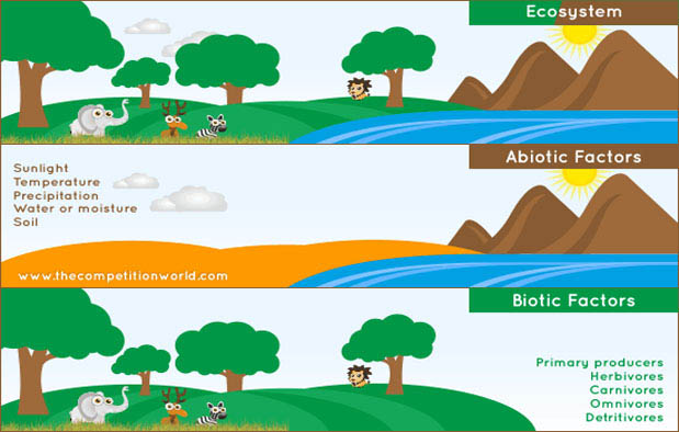 Detail Gambar Sumber Daya Alam Biotik Nomer 9