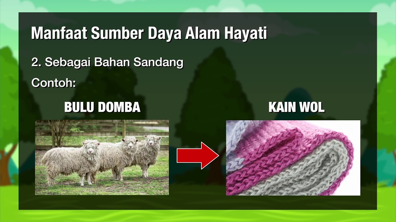 Detail Gambar Sumber Daya Alam Hewan Nomer 52