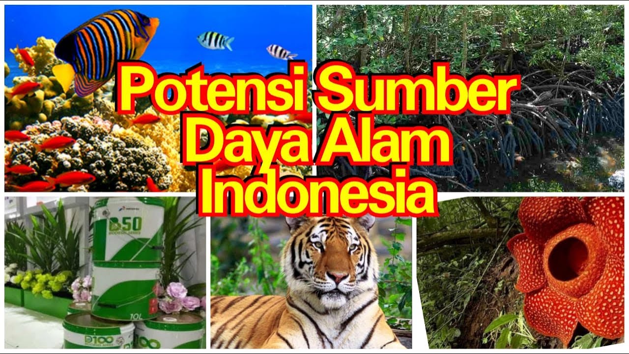 Detail Gambar Sumber Daya Alam Indonesia Nomer 30