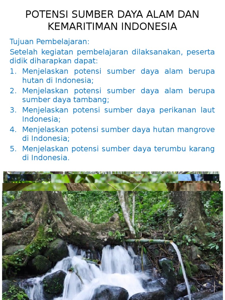 Detail Gambar Sumber Daya Alam Indonesia Nomer 47