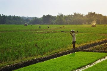 Detail Gambar Sumber Daya Alam Kebun Nomer 21