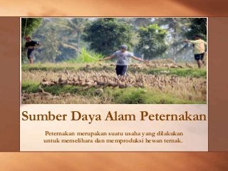 Detail Gambar Sumber Daya Alam Peternak Nomer 43