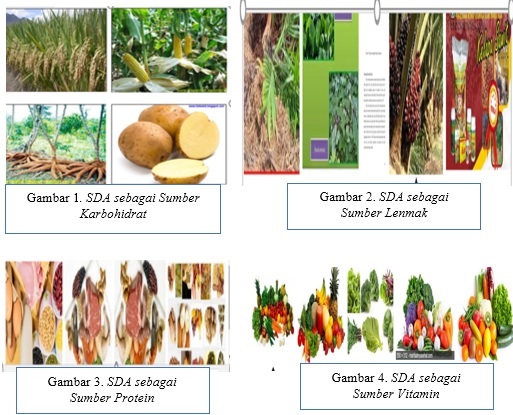 Detail Gambar Sumber Daya Alam Sayuran Nomer 14