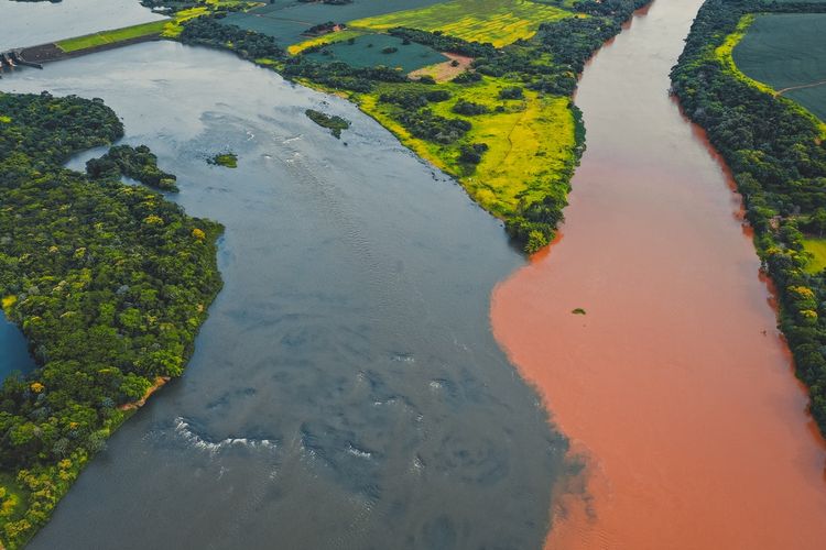 Gambar Sungai Amazon - KibrisPDR