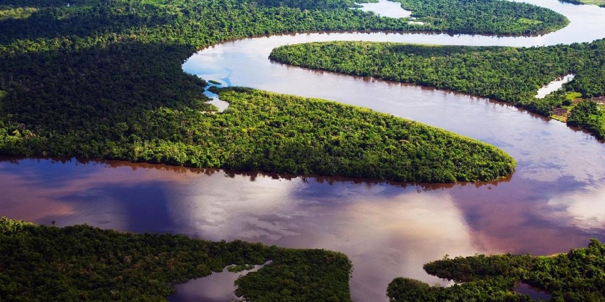 Detail Gambar Sungai Amazon Nomer 11