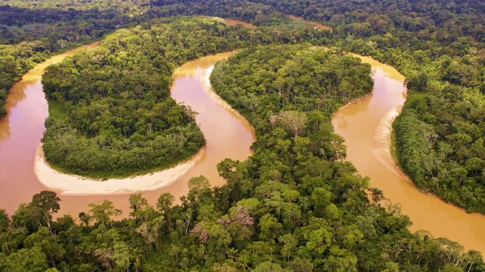 Detail Gambar Sungai Amazon Nomer 3