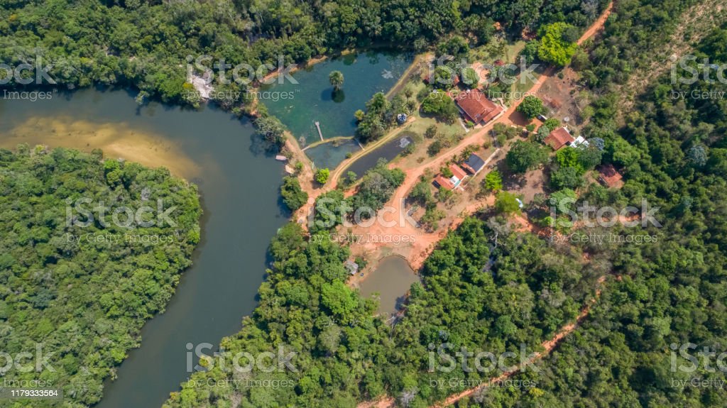 Detail Gambar Sungai Amazon Nomer 42