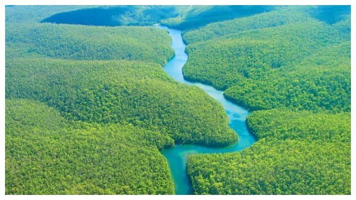 Detail Gambar Sungai Amazon Nomer 44