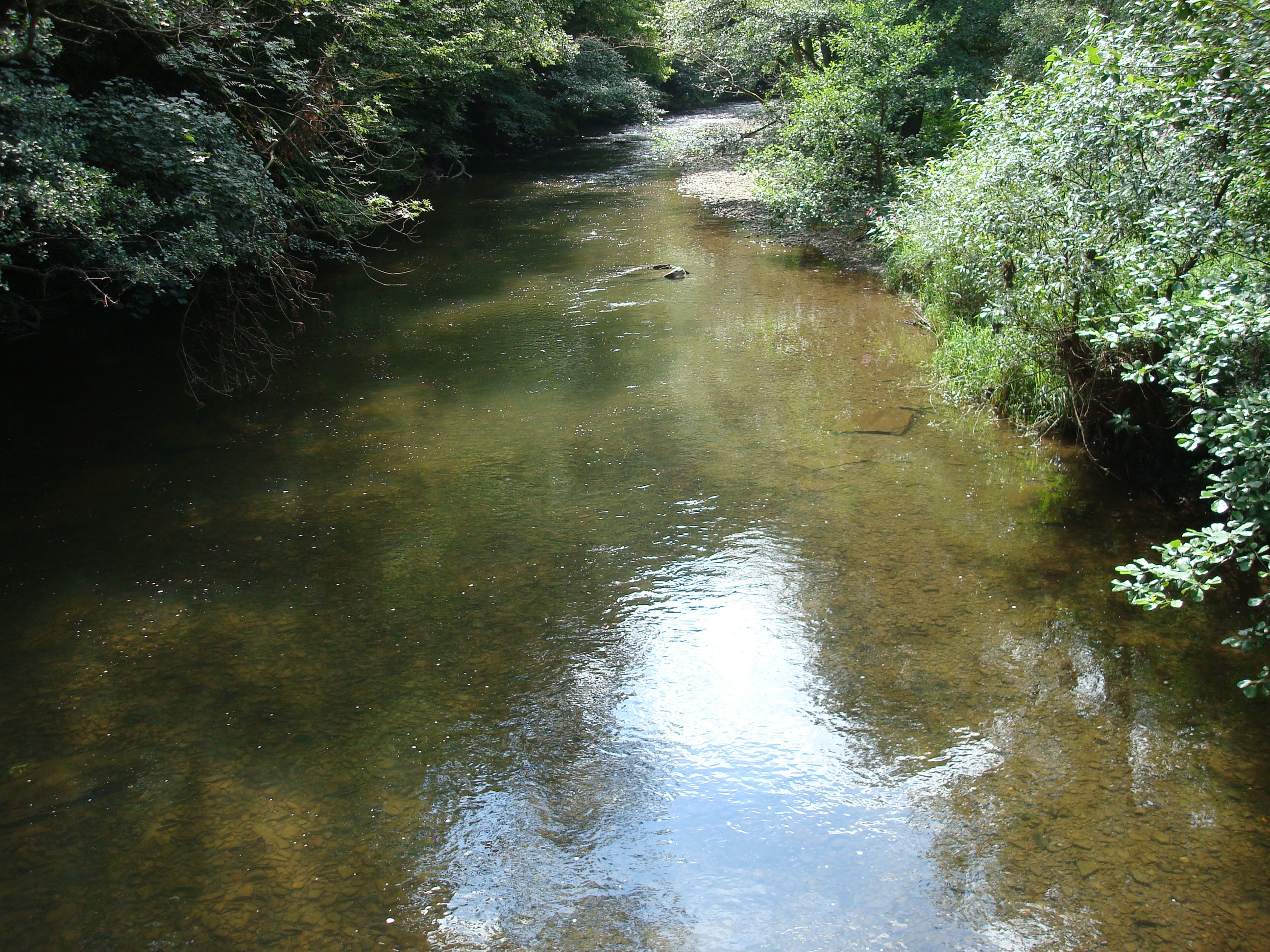 Detail Gambar Sungai Bersih Nomer 36