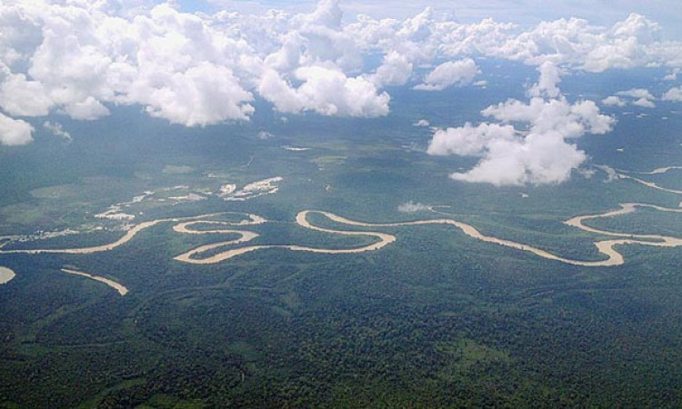 Detail Gambar Sungai Kapuas Nomer 19