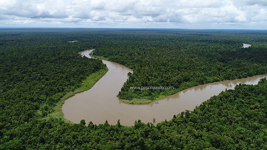 Detail Gambar Sungai Mahakam Nomer 3