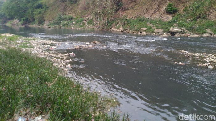 Detail Gambar Sungai Tercemar Nomer 12