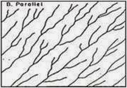 Detail Gambar Sungaimulti Basinal Nomer 13