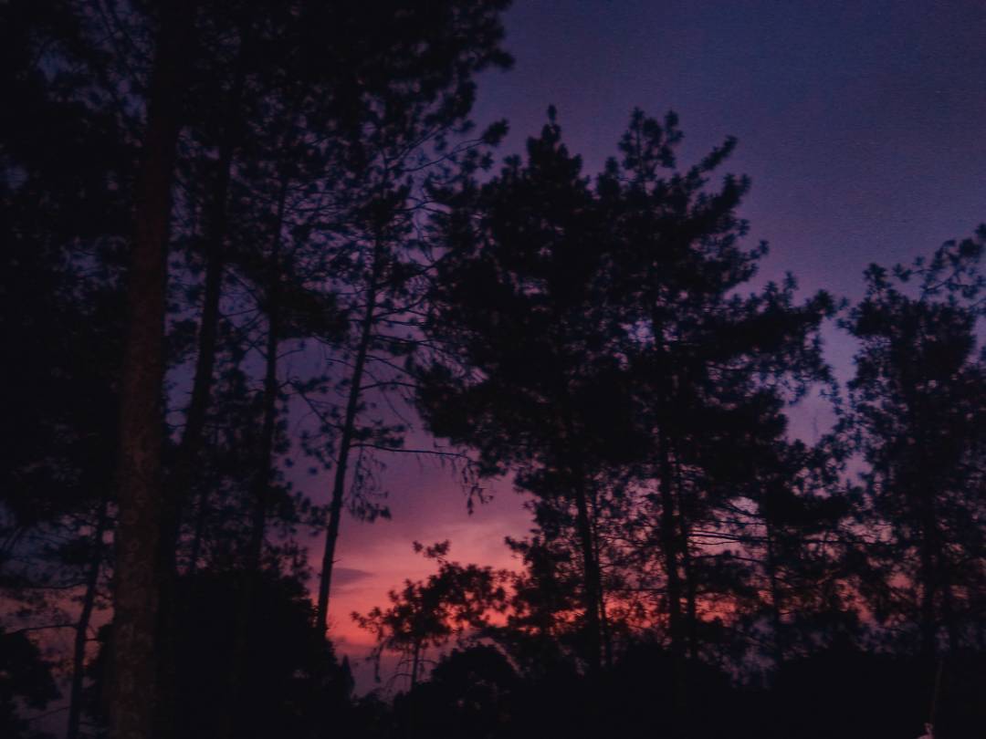 Detail Gambar Sunset Di Gunung Pemandangan Nomer 23