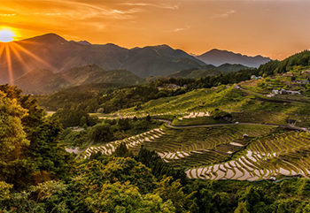 Detail Gambar Sunset Di Gunung Pemandangan Sawah Nomer 12