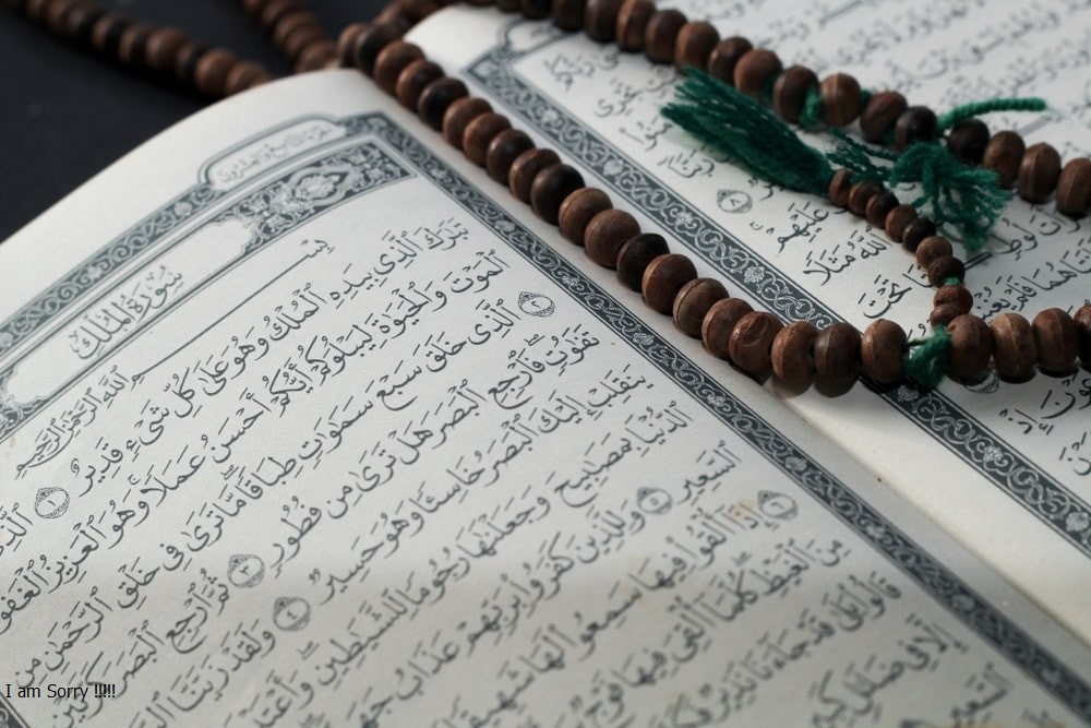 Detail Gambar Surat Al Mulk Nomer 50