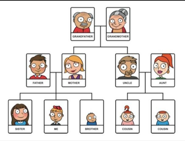 Detail Gambar Susunan Keluarga Kartun Nomer 26