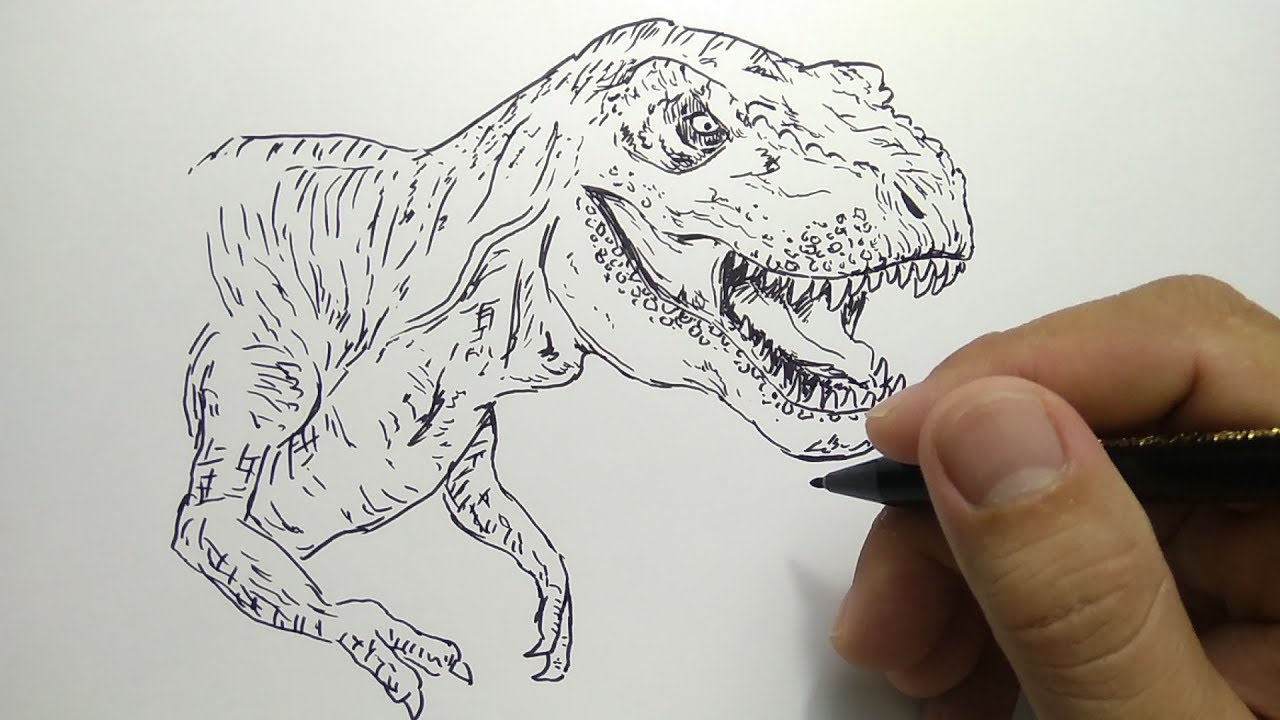 Detail Gambar T Rex Pensil Nomer 3