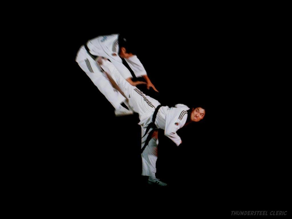 Detail Gambar Taekwondo Keren Nomer 8