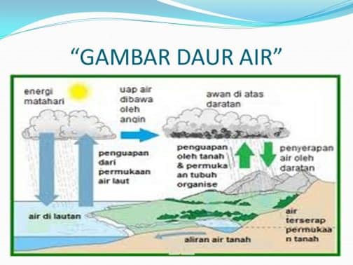 Detail Gambar Tahapan Daur Air Nomer 27