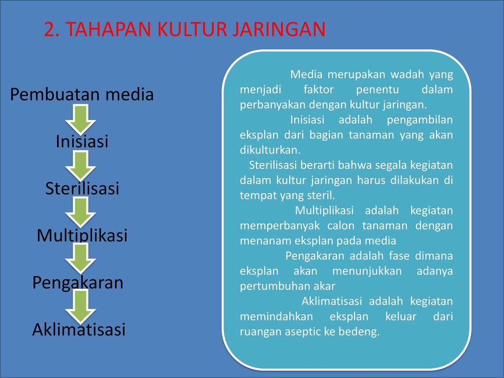 Detail Gambar Tahapan Kultur Jaringan Nomer 39