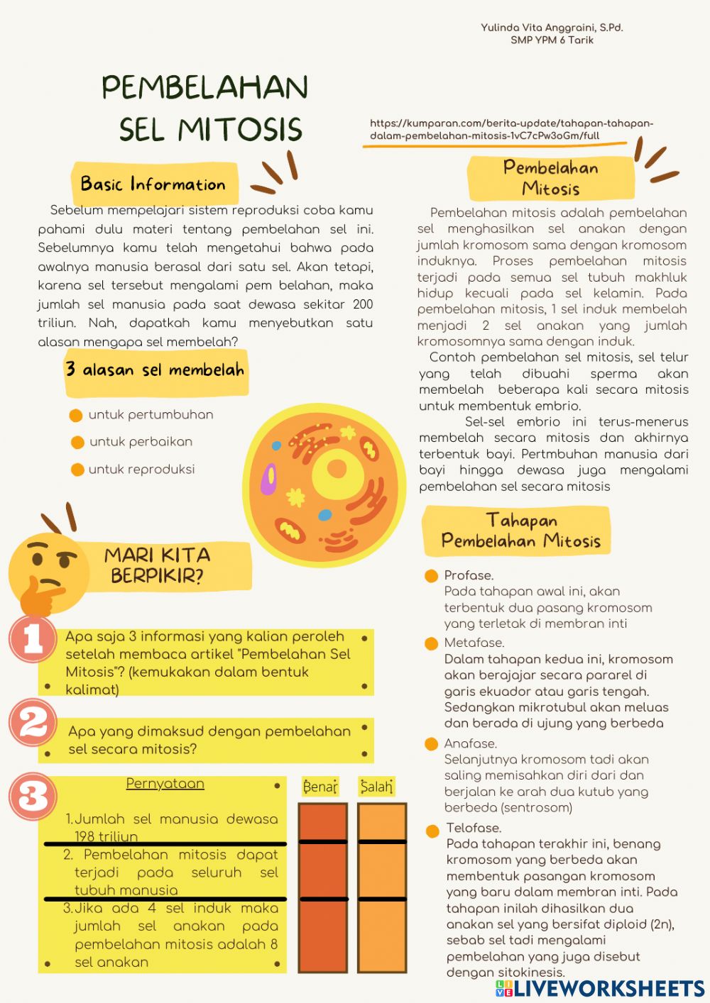 Detail Gambar Tahapan Mitosis Nomer 45
