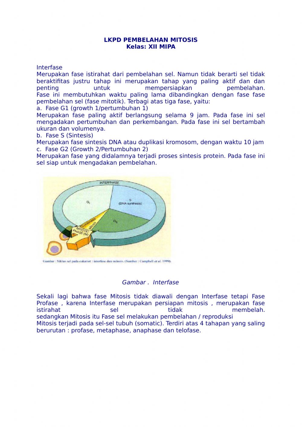 Detail Gambar Tahapan Mitosis Nomer 52