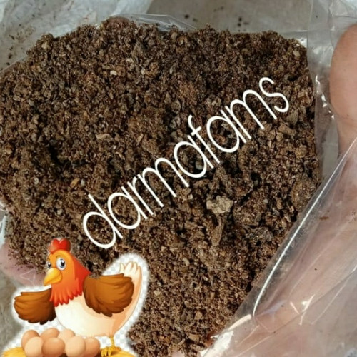 Detail Gambar Tai Ayam Nomer 17