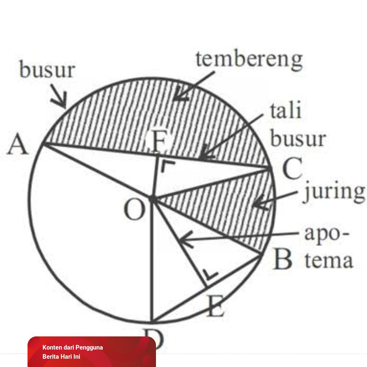Detail Gambar Tali Busur Pada Lingkaran Nomer 8