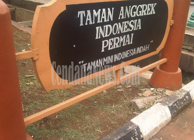 Detail Gambar Taman Anggrek Indah Nomer 11