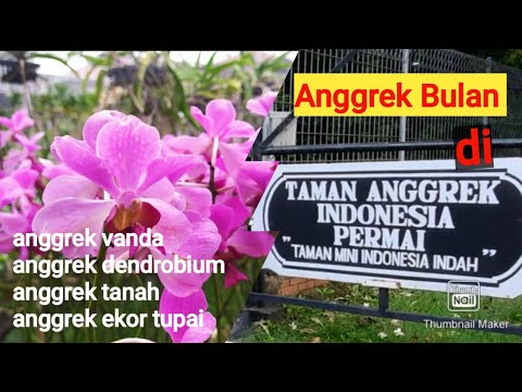 Detail Gambar Taman Anggrek Indah Nomer 25