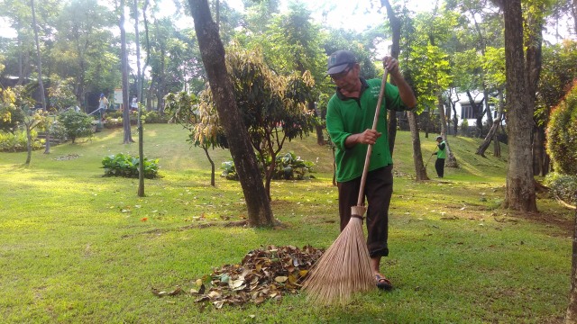 Detail Gambar Taman Bersih Nomer 11