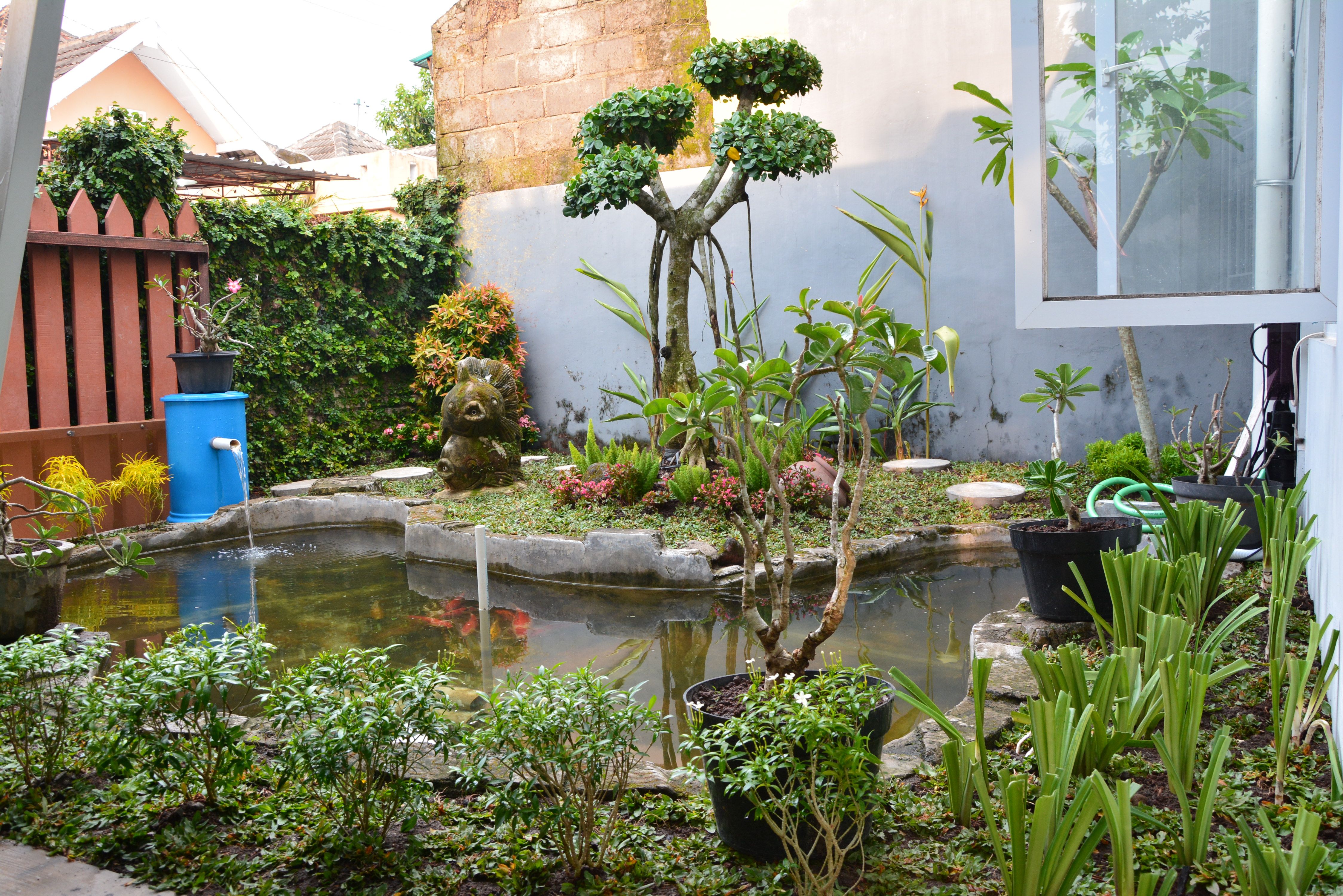 Detail Gambar Taman Bunga Ada Kolam Ikan Nomer 7