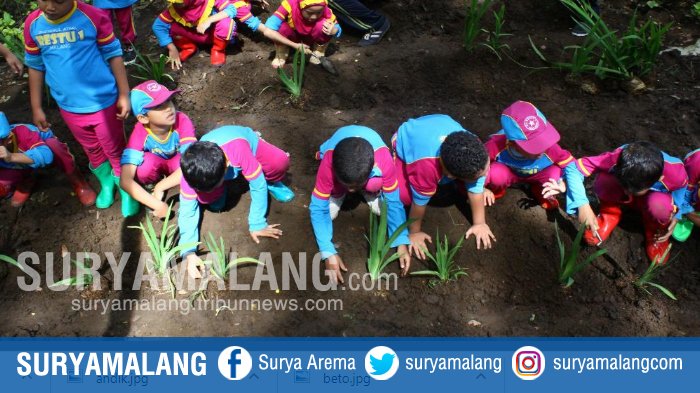 Detail Gambar Taman Bunga Anak Tk Nomer 37