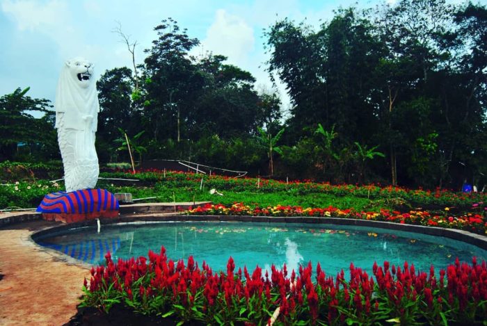 Detail Gambar Taman Bunga Bandungan Nomer 30