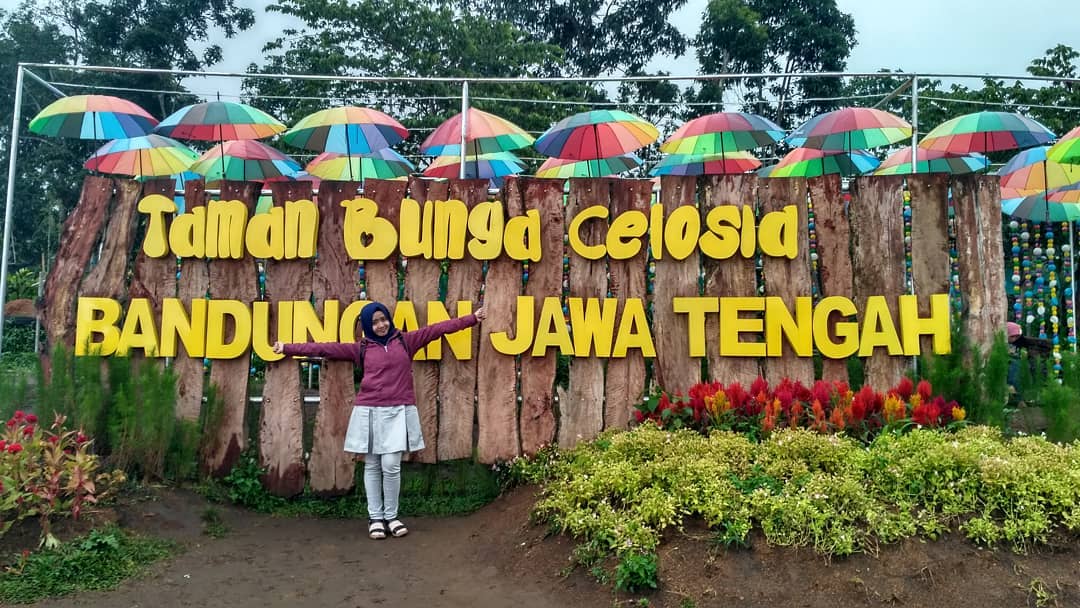 Detail Gambar Taman Bunga Bandungan Nomer 31