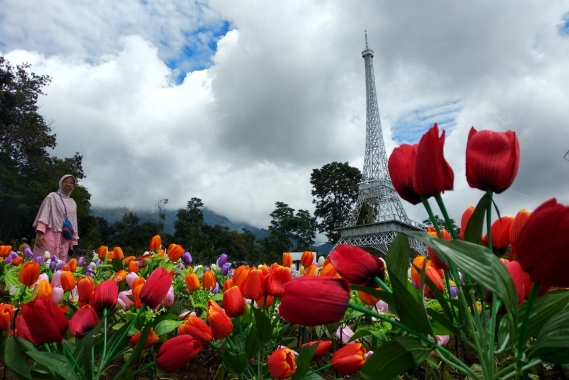 Detail Gambar Taman Bunga Bandungan Nomer 43