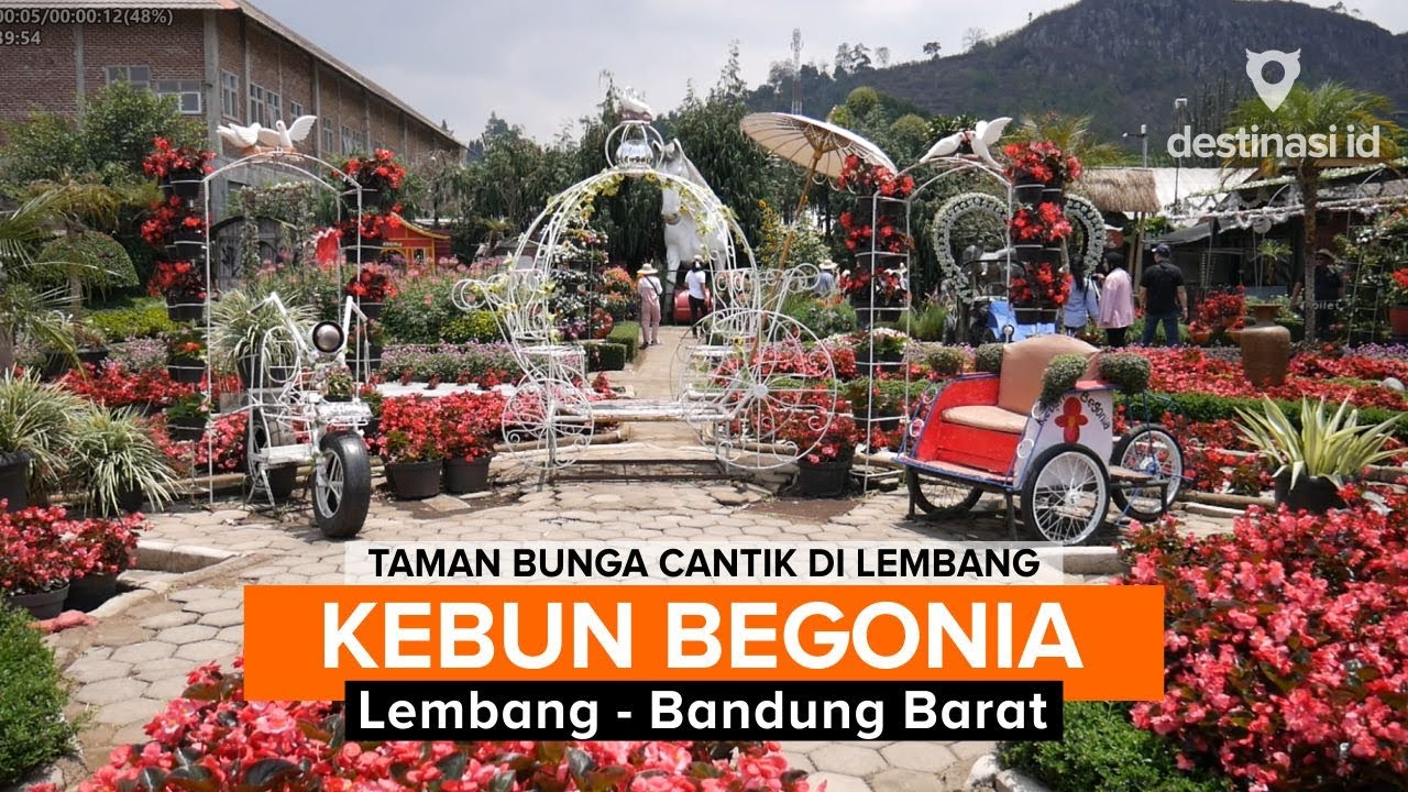 Detail Gambar Taman Bunga Begonia Bandung Nomer 4