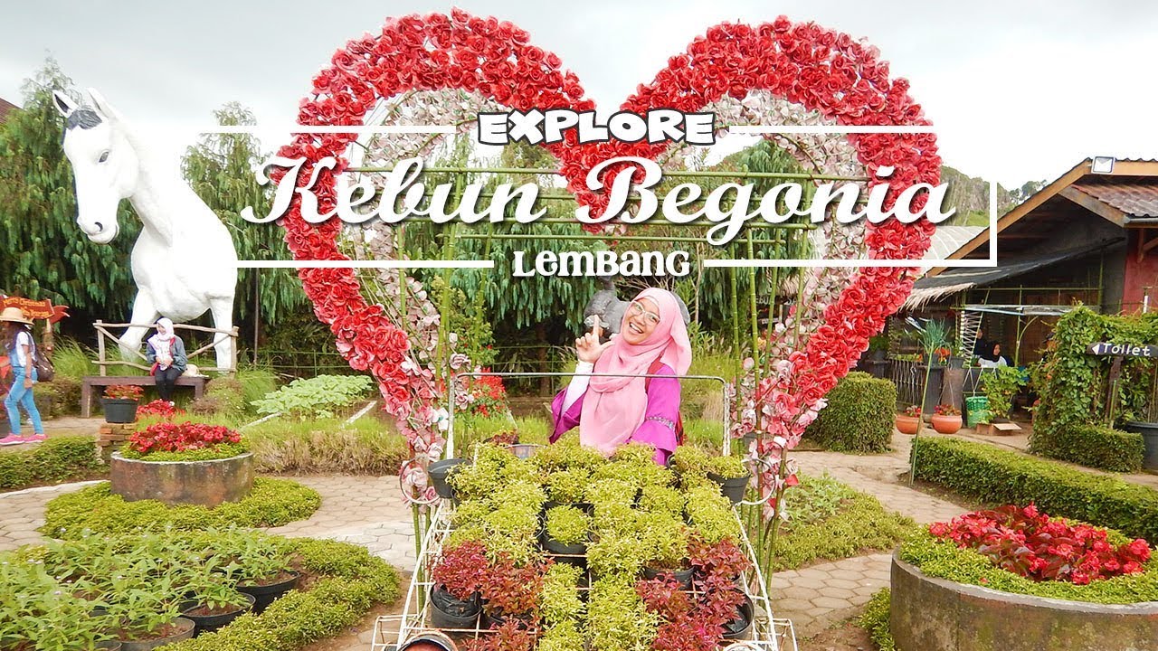 Detail Gambar Taman Bunga Begonia Bandung Nomer 30