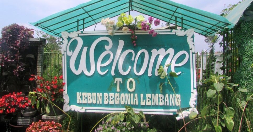 Detail Gambar Taman Bunga Begonia Bandung Nomer 36
