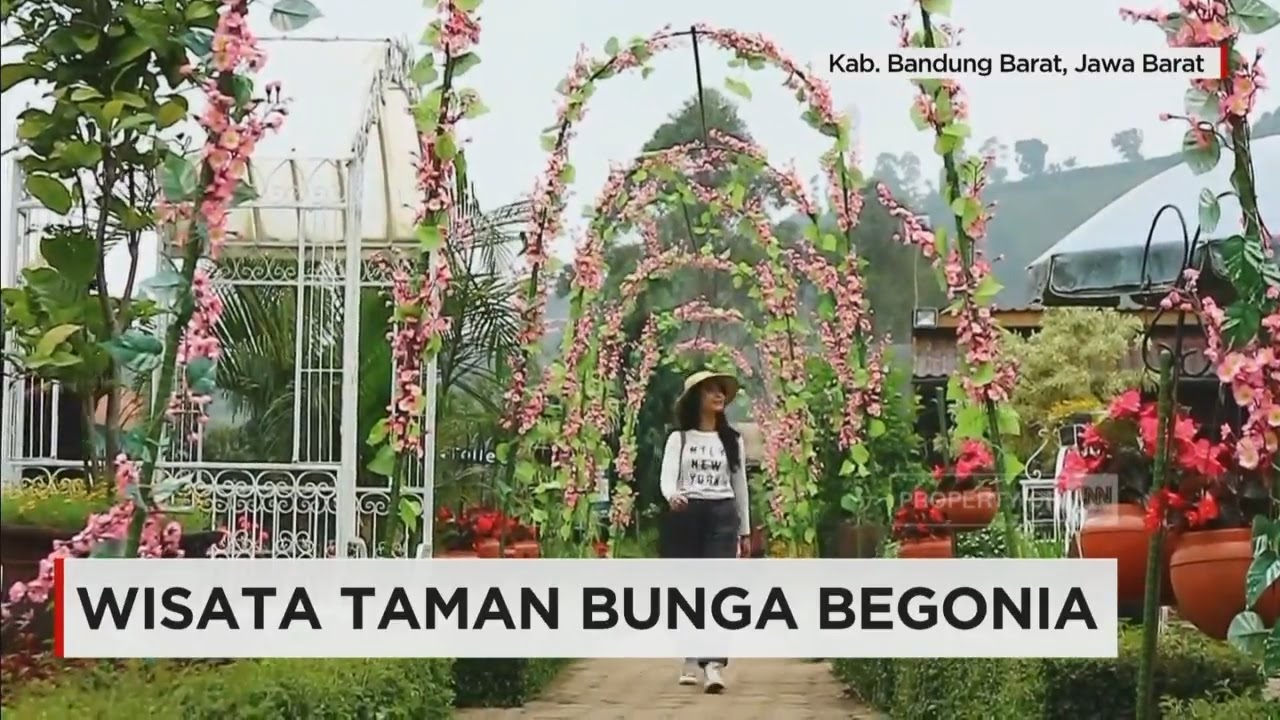 Detail Gambar Taman Bunga Begonia Bandung Nomer 40