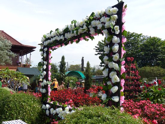 Detail Gambar Taman Bunga Begonia Bandung Nomer 45