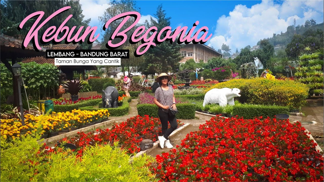 Detail Gambar Taman Bunga Begonia Bandung Nomer 50