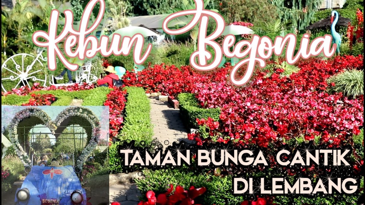 Detail Gambar Taman Bunga Cantik Nomer 43